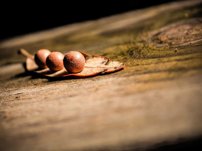 Discord账号交易<br>买卖过户防骗防找回标准流程